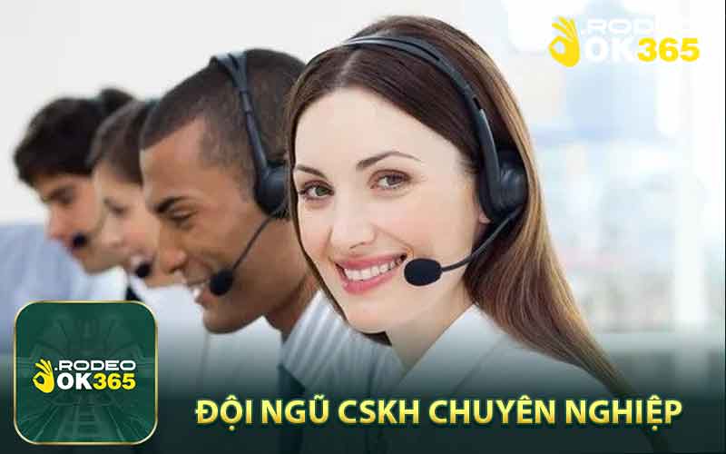 Đội Ngũ Nhân Viên Chuyên Nghiệp Tại Ok365